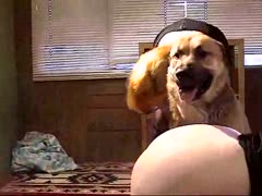 In this Beastiality episode, a dog gets a fresh-faced tramp's cum hole drilled good.